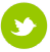 twitter-green